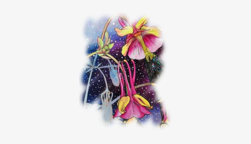 Supplies - Canada Columbine, transparent png #216813
