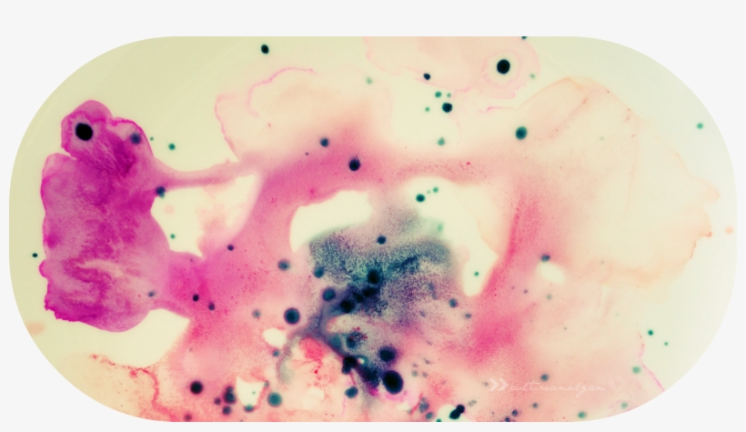 Header - Ice Cream, transparent png #216898