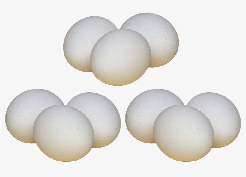 White Egg Png Photo - Hen Egg Png, transparent png #217104