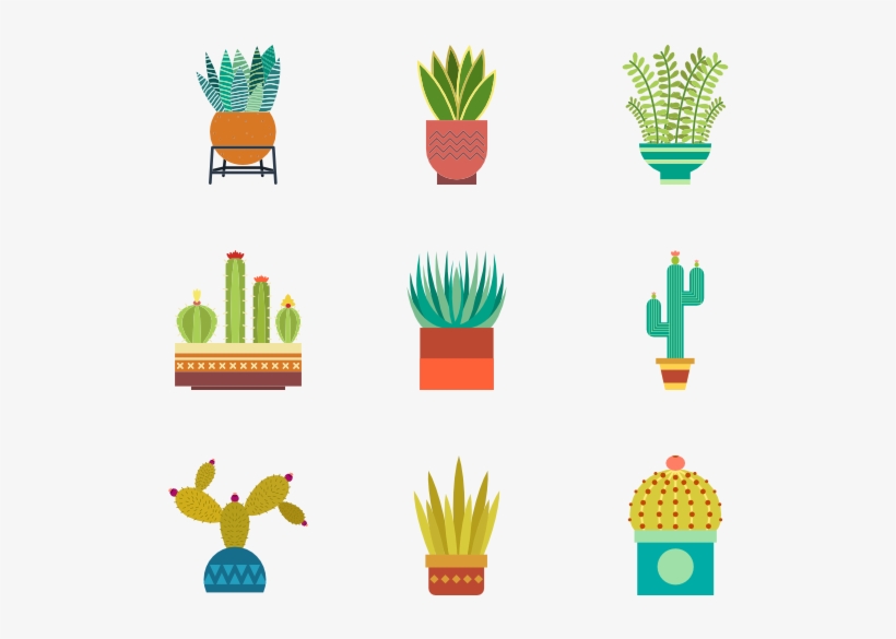 Cactus Collection - Cactus Png Icon - Free Transparent PNG Download ...