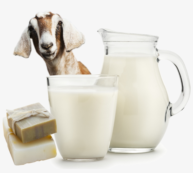 Local & Fresh - Home, transparent png #217248