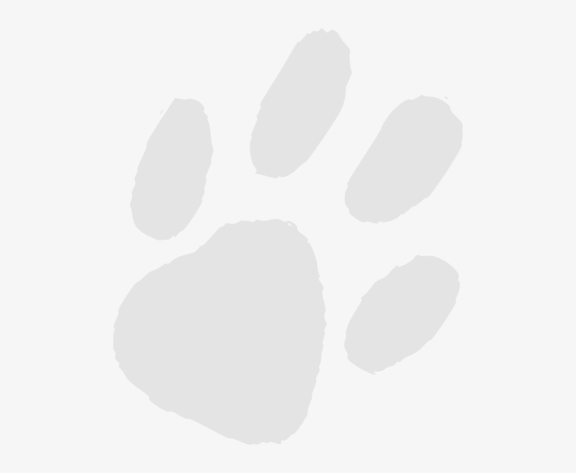 How To Set Use Very Light Gray Paw Print Icon Png, transparent png #217437