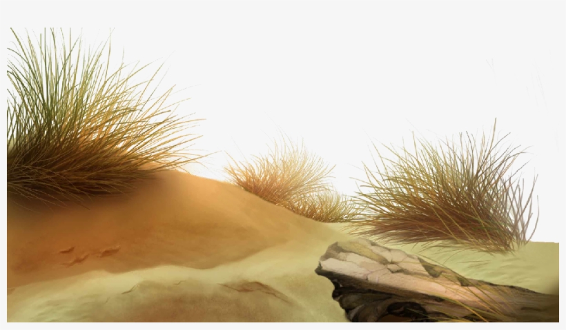 Beach Download Png 1 - Png Sand, transparent png #217928