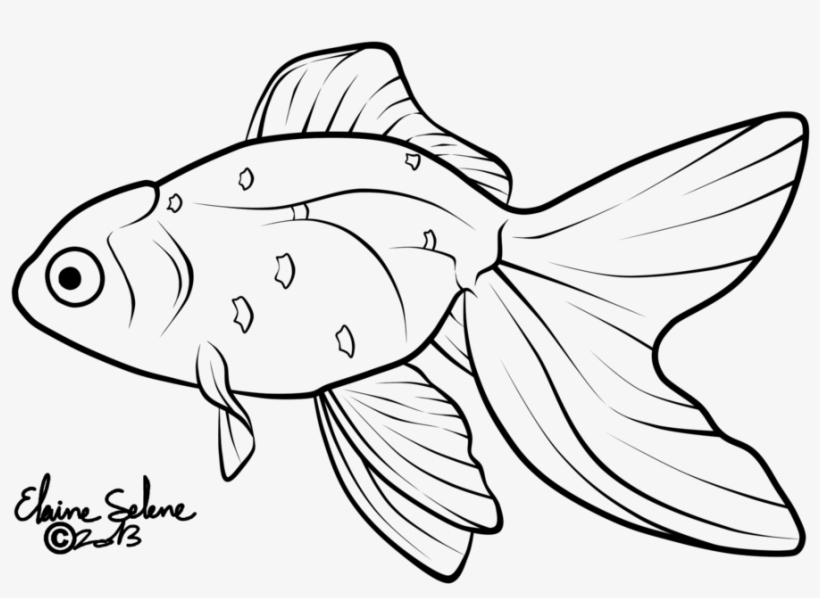 Free Library Moucho Lines By Elaineselenestock On Deviantart - Gold Fish Line Drawing, transparent png #218020