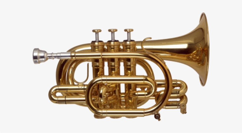 Trumpet Png Free Download - Trumpet Sax Png, transparent png #218333