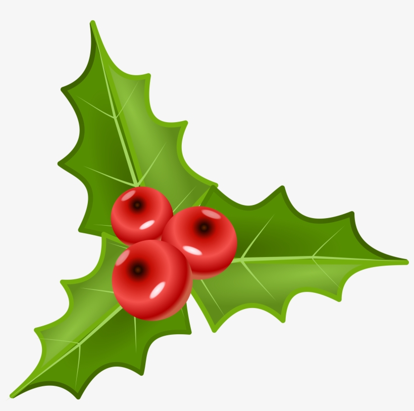 Holley Clipart Advent - Holly And Berries Png, transparent png #218449