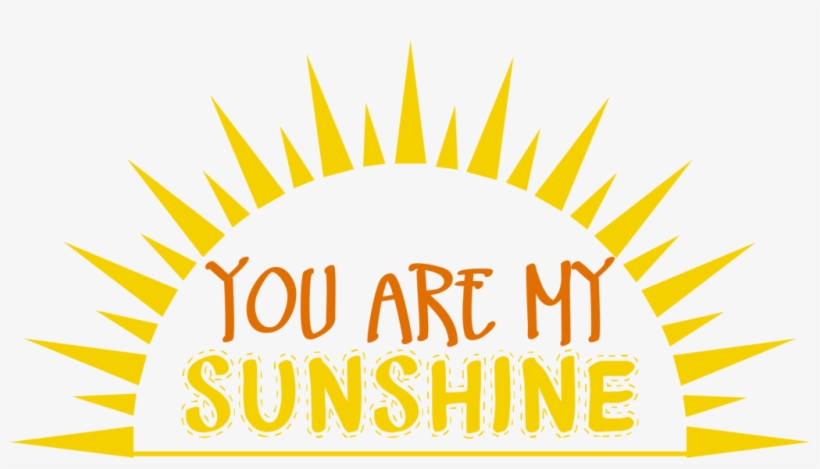 You Are My Sunshine Png - Lake Hair Don't Care Neon Color Trucker Snapback Baseball, transparent png #218560