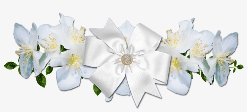 White Rose Border Png Picture Royalty Free - Flower, transparent png #218913