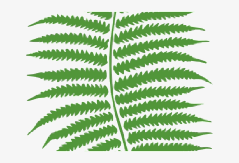 Free On Dumielauxepices Net Jungle - Fern Png, transparent png #219002