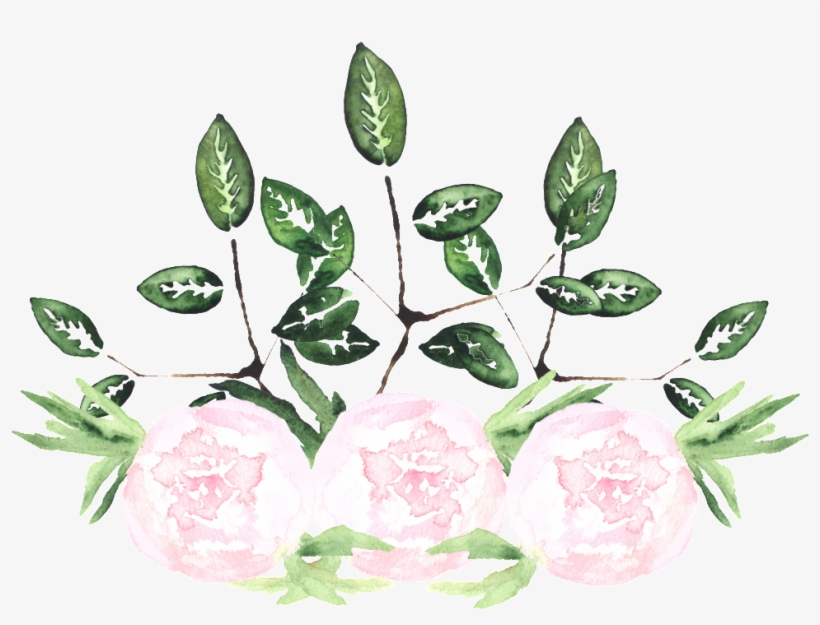 This Graphics Is White Noble Flower Transparent Decorative - Watercolor Painting, transparent png #219400