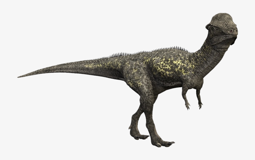 3407868 Orig - Dinosaurio Con Un Cuerno, transparent png #219656