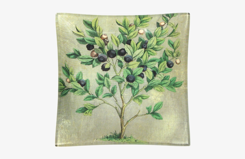 Blueberries Blueberries - Placemat, transparent png #219893