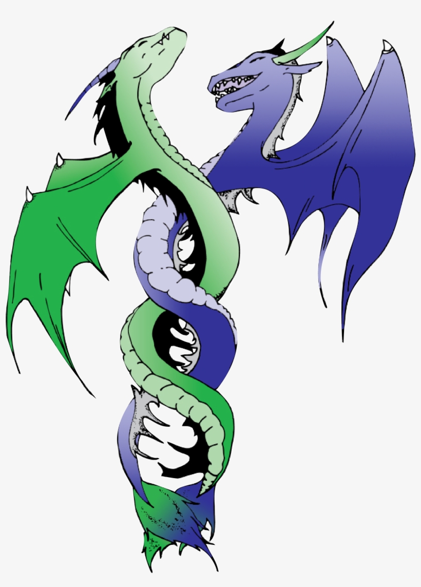 Bioscience Dragons - Bioscience High School Mascot, transparent png #2100379