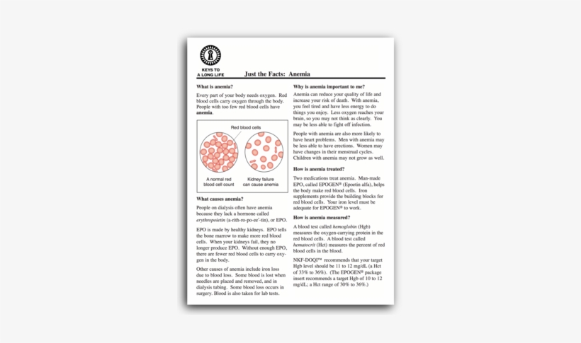 Fact Sheets - Life Options, transparent png #2100918
