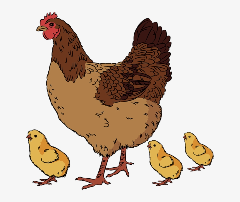 Hen Clipart Png - Hen With Chicks Clipart, transparent png #2101305