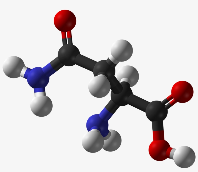 L Asparagine 3d Balls - Cd Spectrum Of Enantiomers, transparent png #2102381