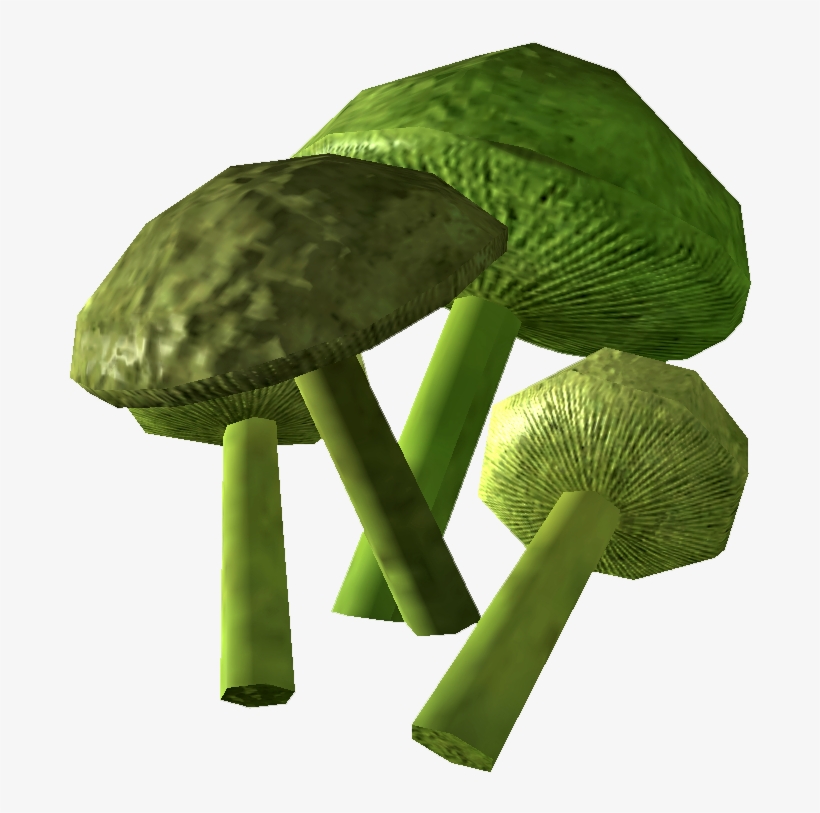 Mutant Cave Fungus - Mutated Fungus, transparent png #2103969