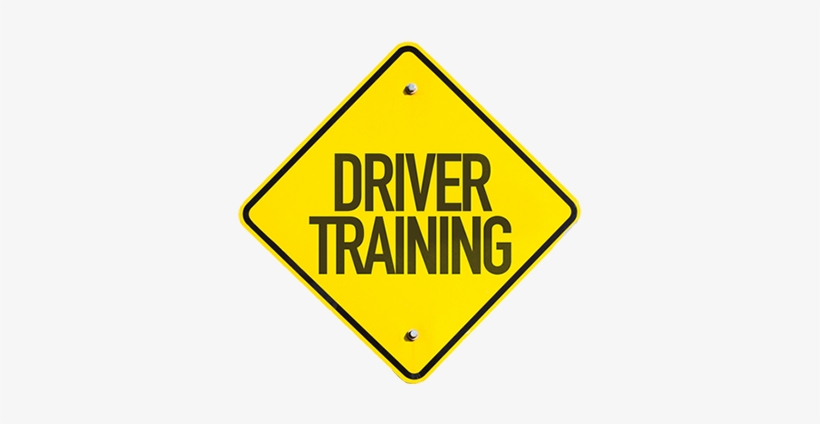 Additional Services We Offer - Maui Ocean Center, transparent png #2104038