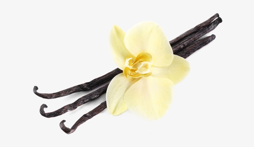 Vanilla Powder - Rowdy Beard Bros Beard Balm Leave-in Conditioner -, transparent png #2104189