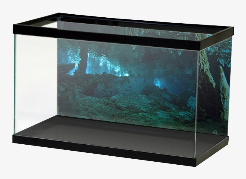 Aquariumvinyl Stalagmightcave, transparent png #2104293