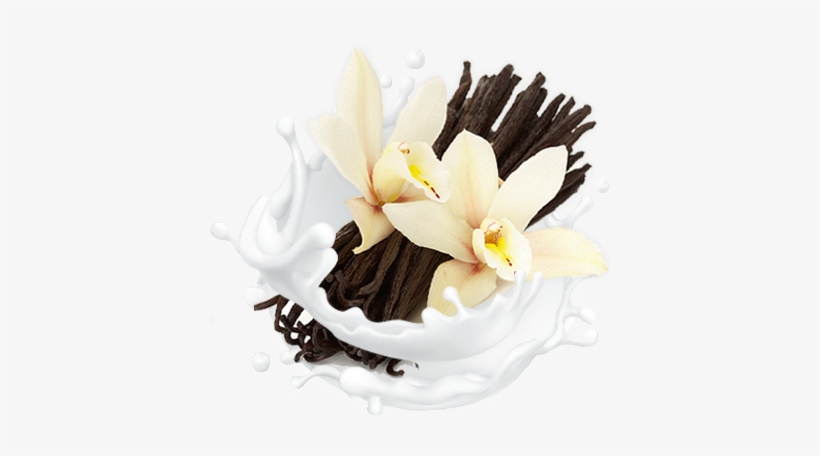 All Natural Vanilla Bliss - Vanilla Png, transparent png #2104342