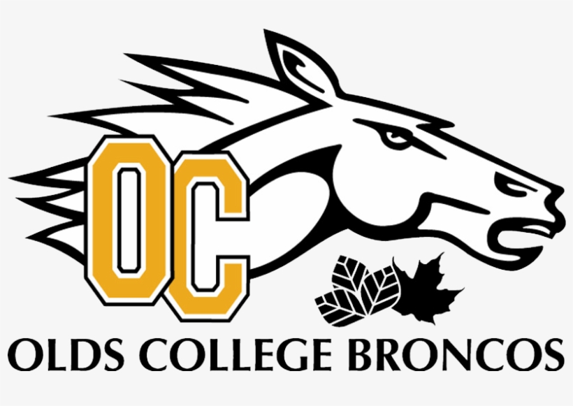 Broncos-invisible - Olds Broncos, transparent png #2105104