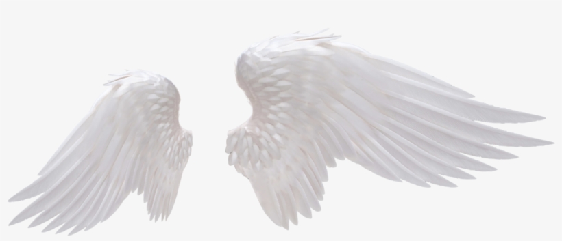 White Angel Wings Png Photo - Angel Wings Png, transparent png #2106081