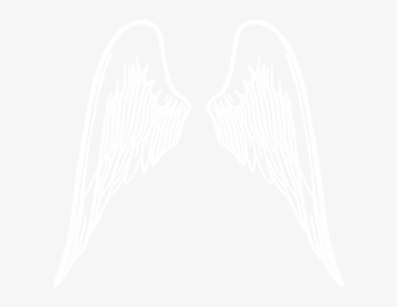 White Outline Wings Png, transparent png #2106101