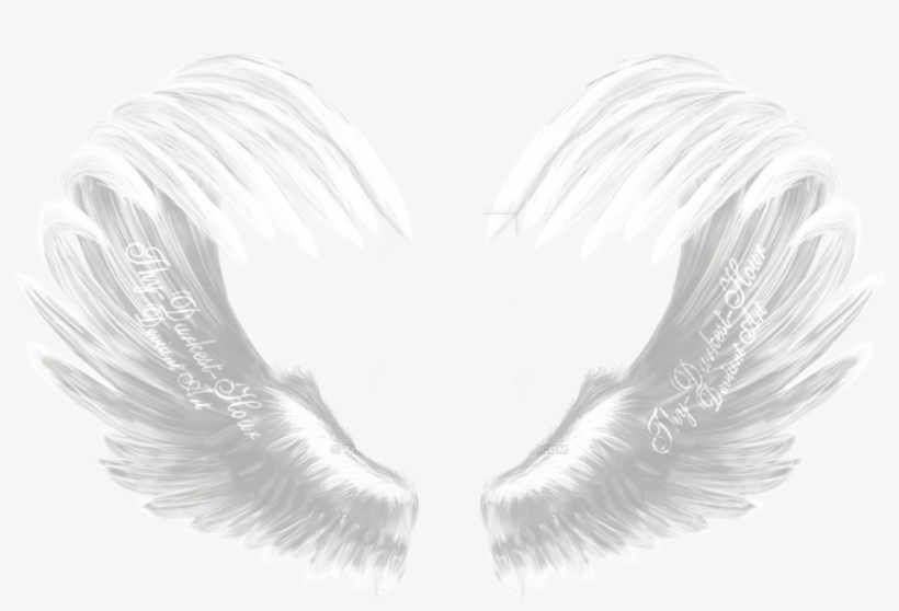 Report Abuse - Water Bird, transparent png #2106283