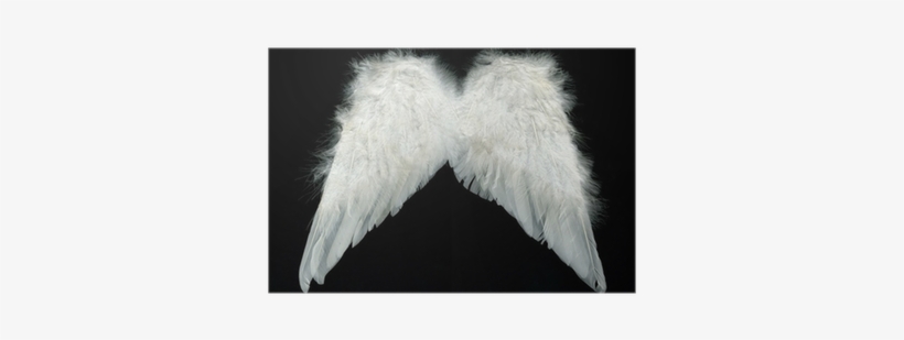 White, transparent png #2106318