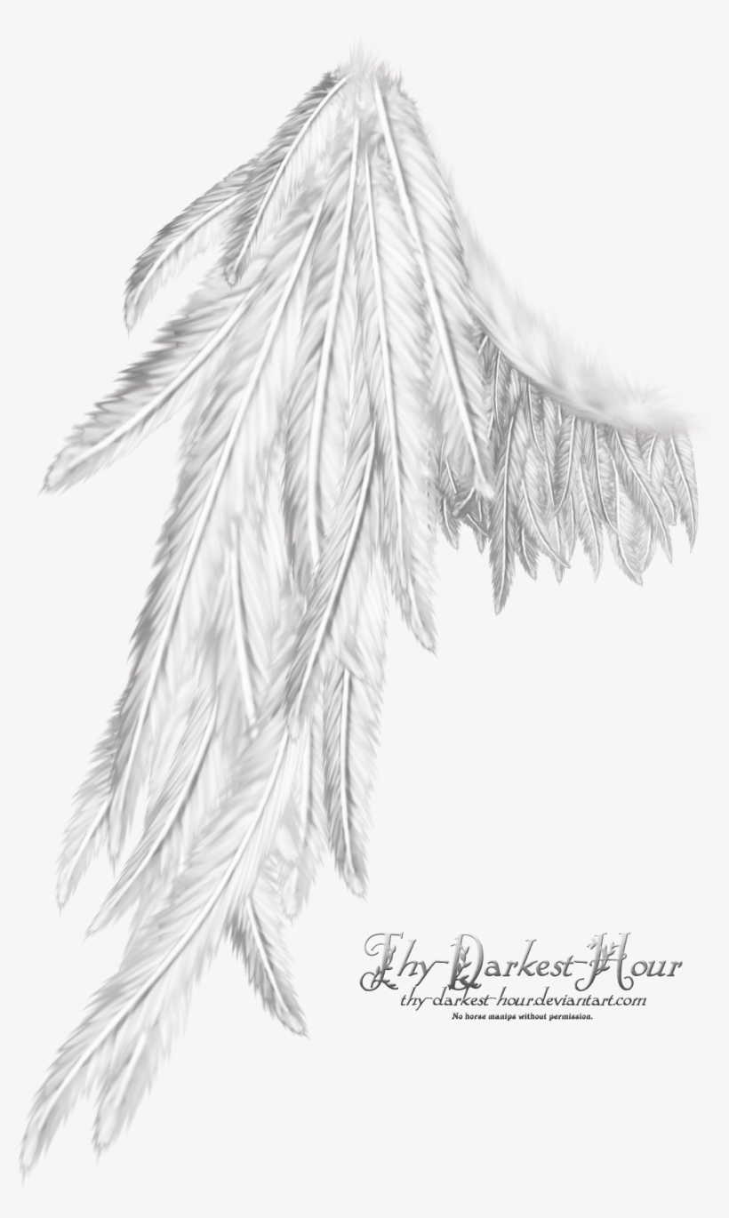 Wings - Wing White, transparent png #2106572