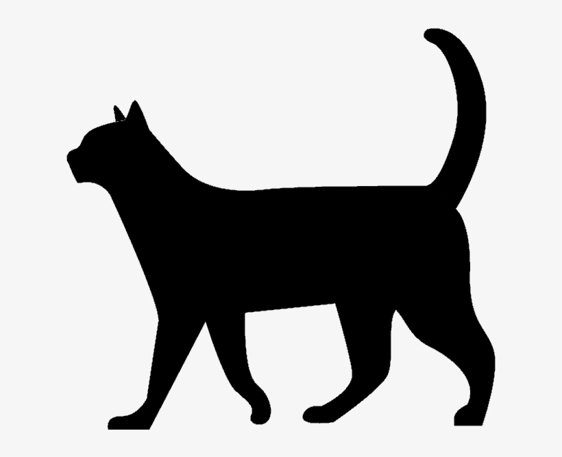 Invisible Lioness - Black Cat Walking Silhouette, transparent png #2106806