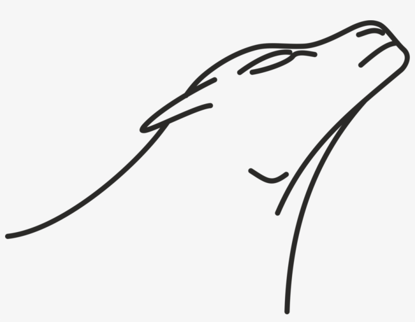 Line Art Drawing Lion Monochrome - Drawing, transparent png #2106918