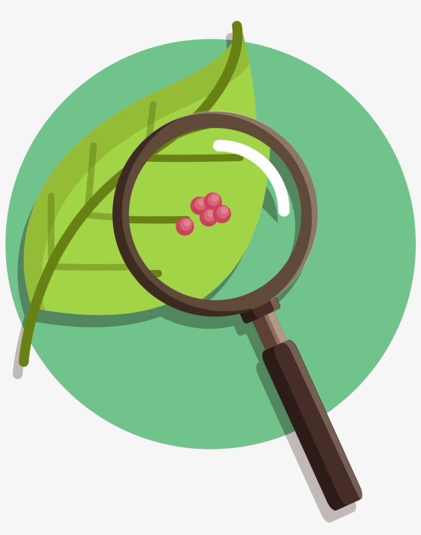 Nature Vs - Nurture - Nature Vs Nurture Transparent, transparent png #2107109