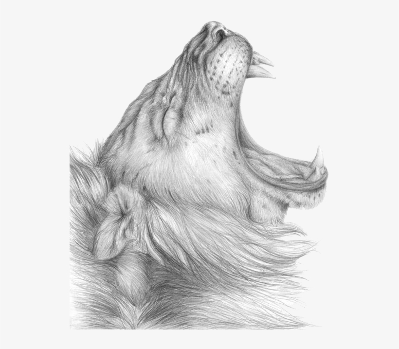 Lioness Roar Png Clipart - Cel Dintai - Sando - Download, transparent png #2107130
