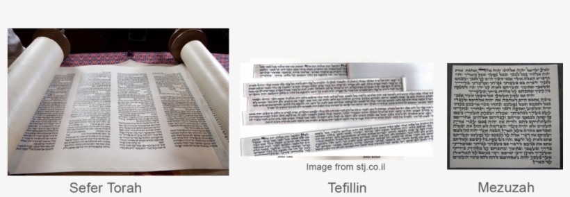 Stam-scrolls, transparent png #2107301