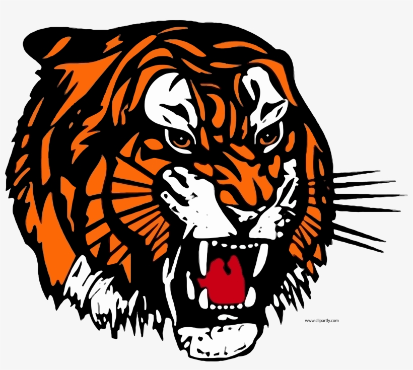 66 Malvorlage Tiger Ausmabilder 2021