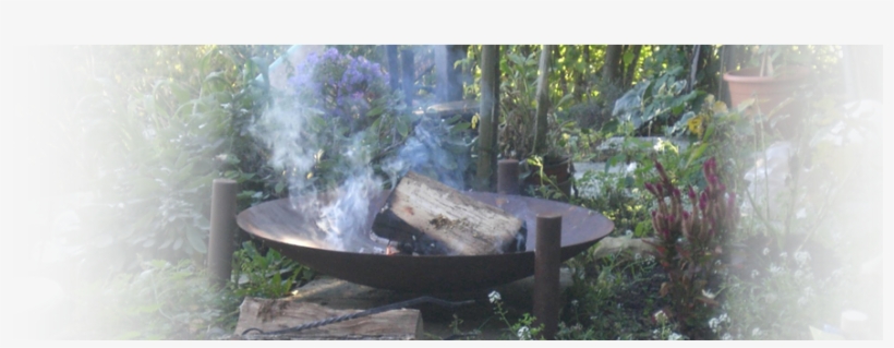 16 Oct 2016 - Rainforest, transparent png #2107928