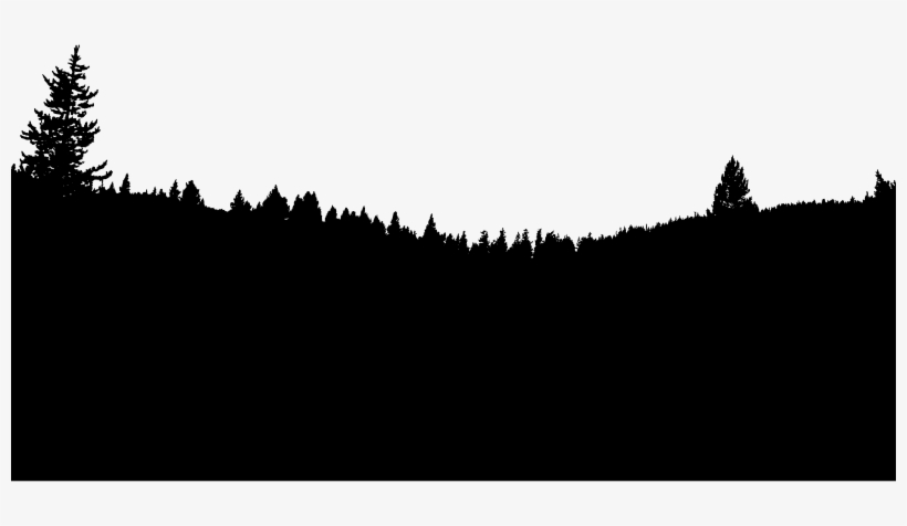 By Gdj - Shortleaf Black Spruce, transparent png #2107969