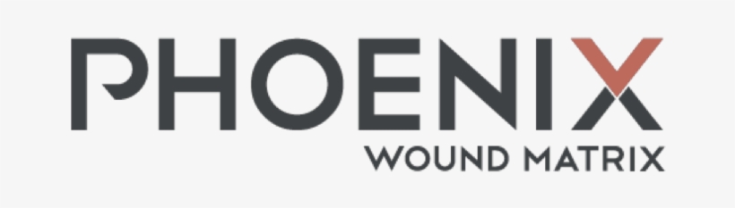 Phoenix Wound Matrix - Phoenix, transparent png #2108052