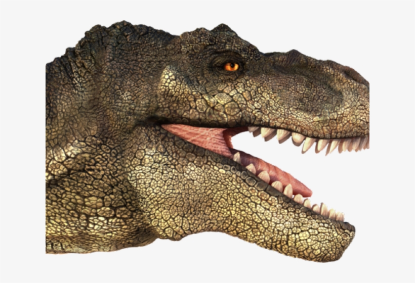 Tyrannosaurus Rex Clipart Transparent - T Rex Head Png, transparent png #2109072