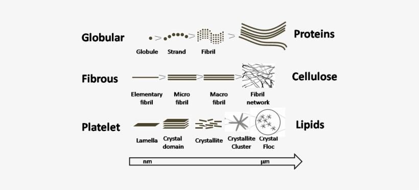 The Large Potential Of Small Angle Scattering And Nmr - Small-angle Scattering, transparent png #2110798