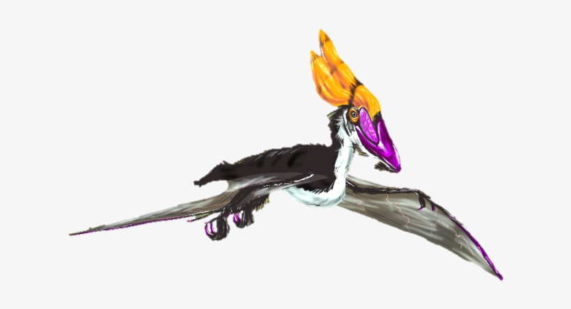 Pterodactyl - Wiki, transparent png #2113237