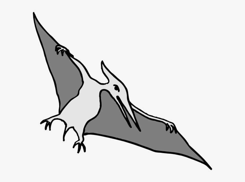 Simple Pterodactyl Art Clip Art At Clker Com Vector - Clip Art, transparent png #2113575