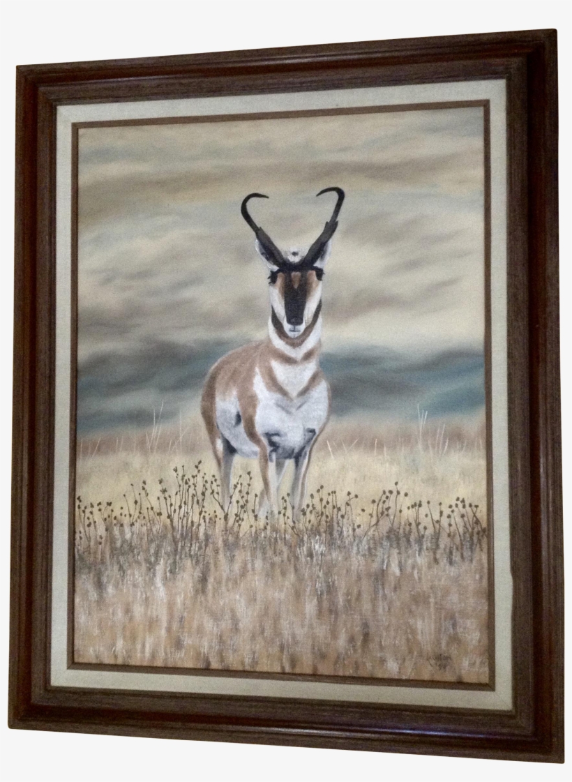Lawton, Pronghorn Antelope Buck Realism Oil Painting - Oil Painting, transparent png #2115003