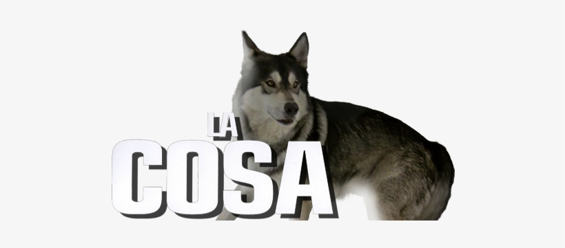 The Thing Movie Image With Logo And Character - Thing 1982 Png, transparent png #2116385