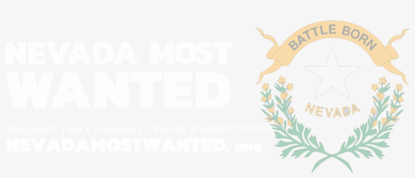 Nevada Most Wanted - Nevada 5ftx8ft Nylon State Flag 5x8 Made, transparent png #2117107