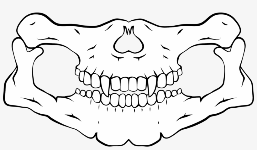 Skull Bandana Png - Skull Mouth Scarf Png, transparent png #2117459