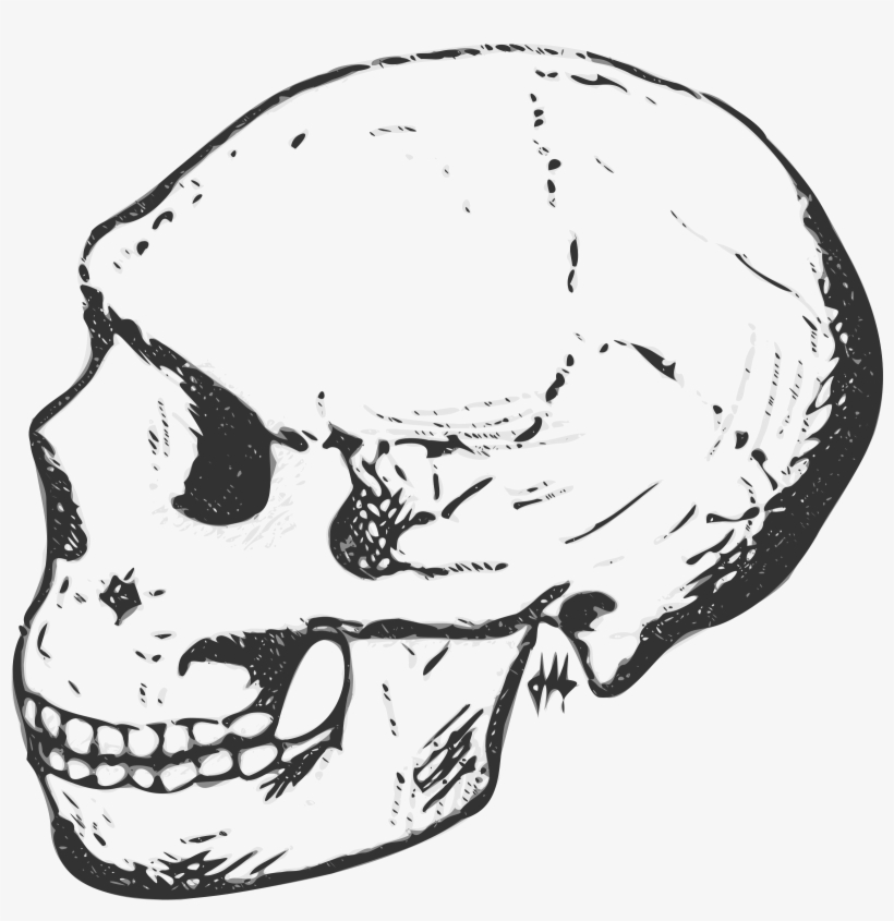 Big Image - Skull Clipart, transparent png #2117715