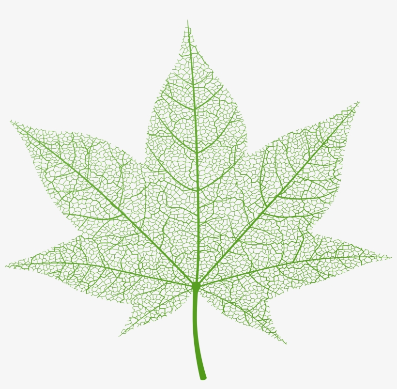 Transparent Green Autumn Leaf Png Clip Art Image - Transparent Background Fall Leaf Png, transparent png #2118398